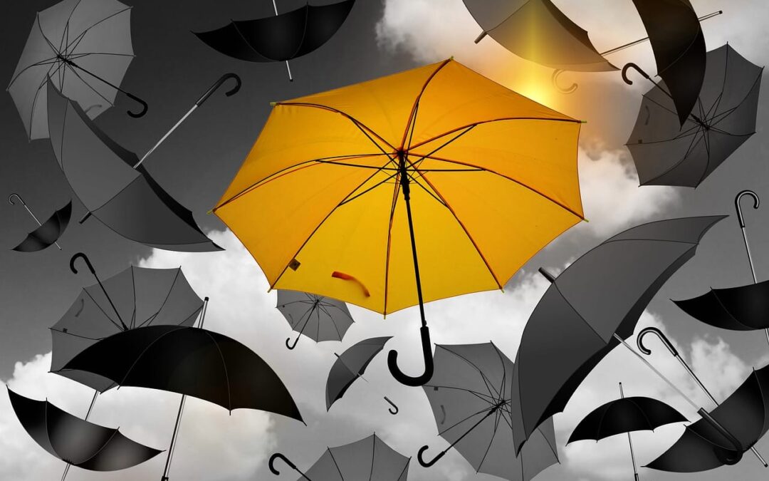 The Why, What and Who of Protection: An Industry Ripe for Disruption