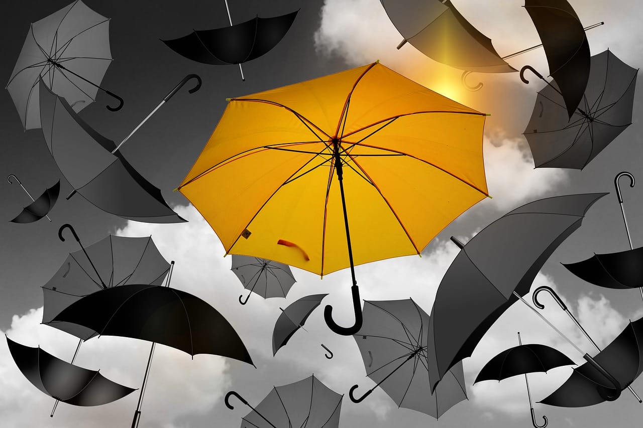 The Why, What and Who of Protection: An Industry Ripe for Disruption